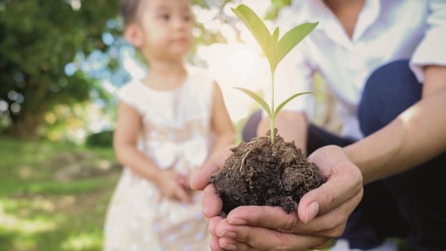 Adult hands holding plant with child